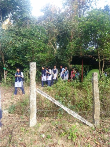 Agumbe fieldwork