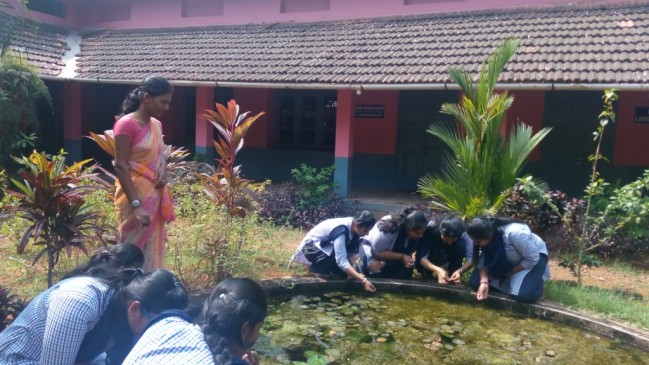 Plant survey in college campus