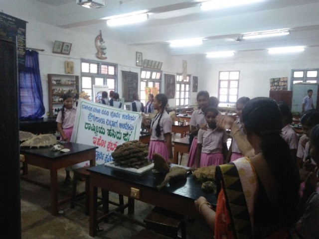  Zoology Department Exhibition