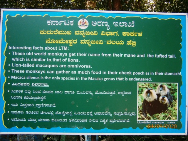 Agumbe fieldwork